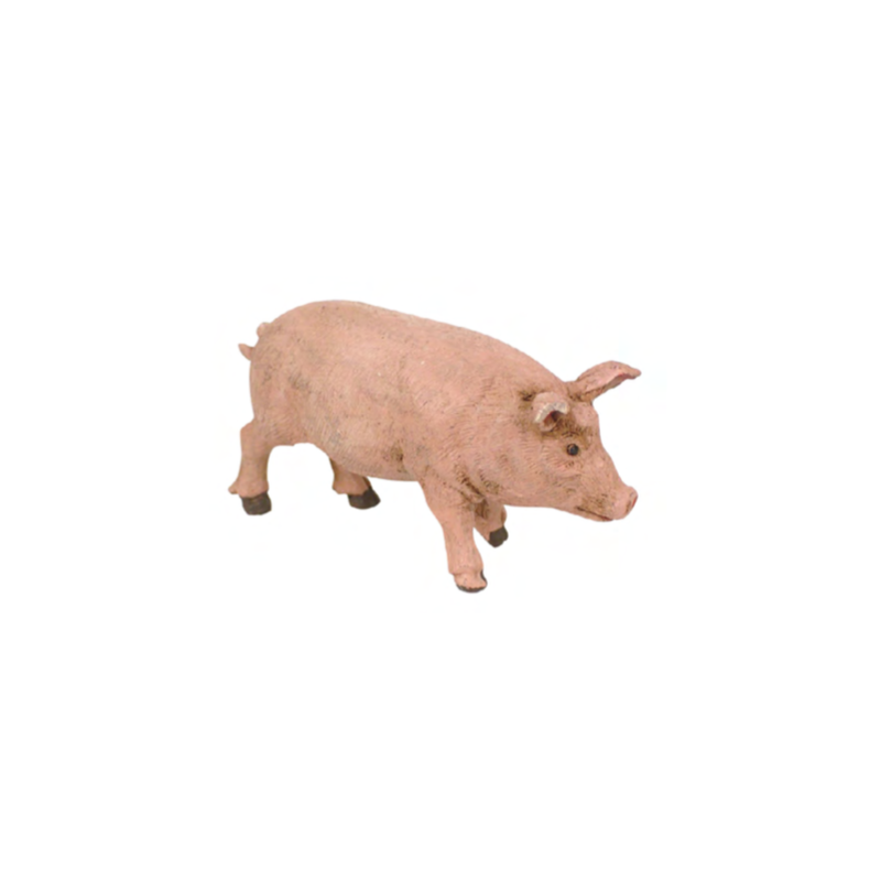 Cerdo de durexina para 8 a 12 cm, 10 unidades, Oliver