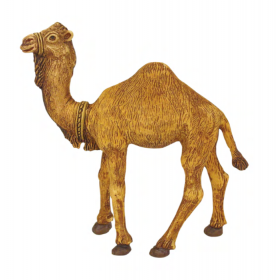 Camello de durexina para 8 cm, 6 unidades
