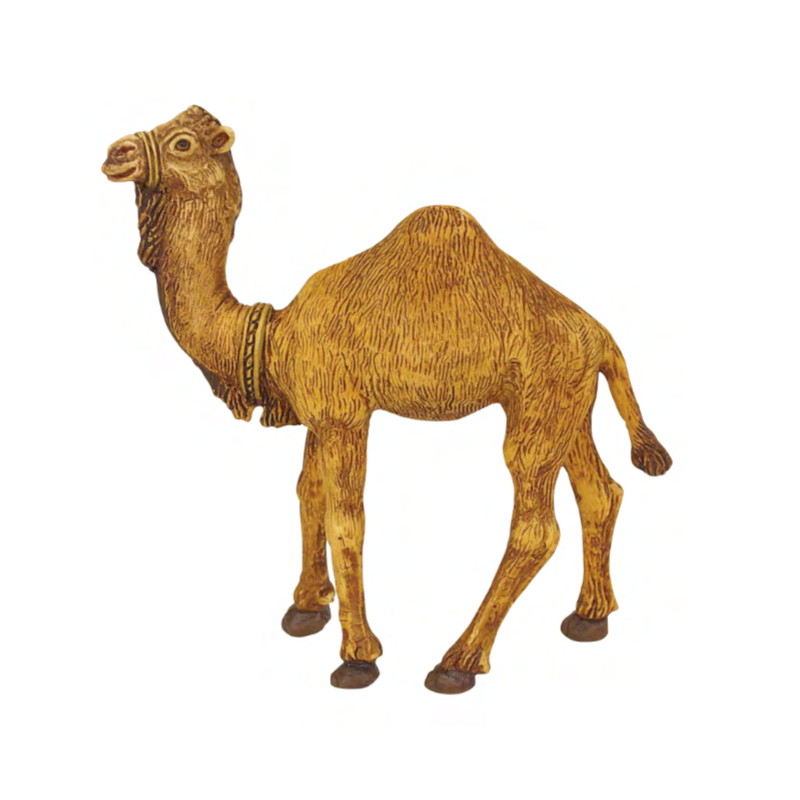 Camello de durexina
