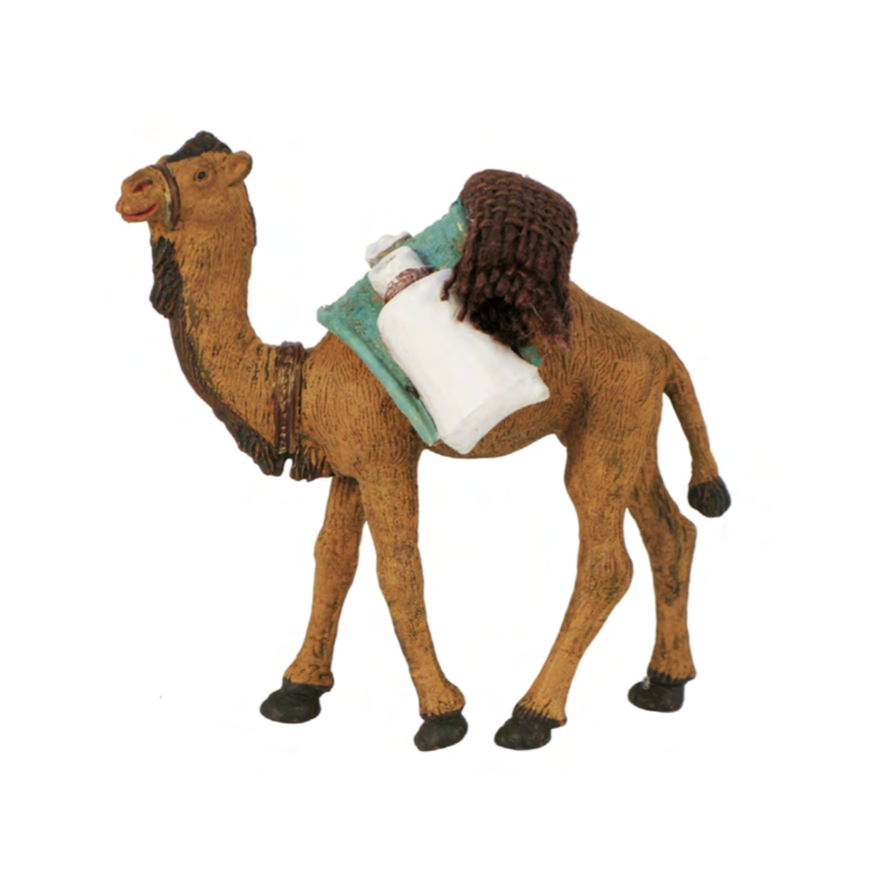 Camello de carga en durexina